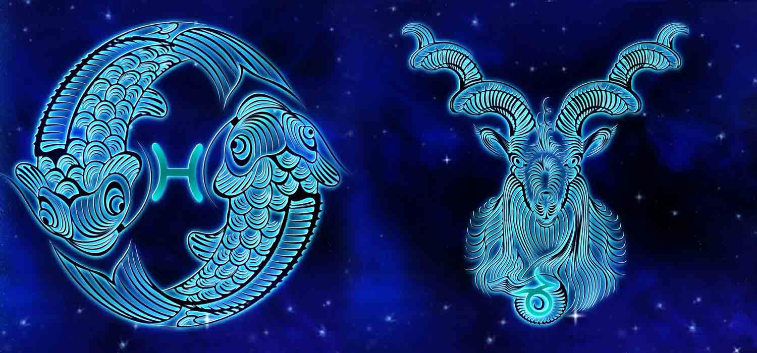 Combinação de signos – Peixes e Capricórnio . Foto: Pixabay