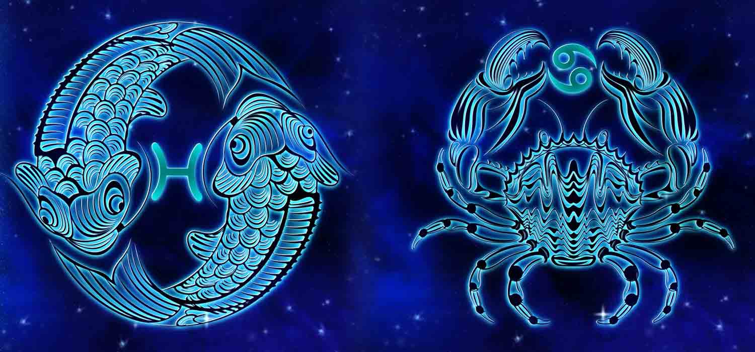 Combinação de signos – Peixes e Câncer. Foto: Pixabay