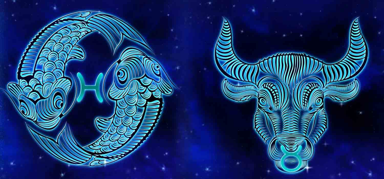 Combinação de signos – Peixes e Touro. Foto: Pixabay