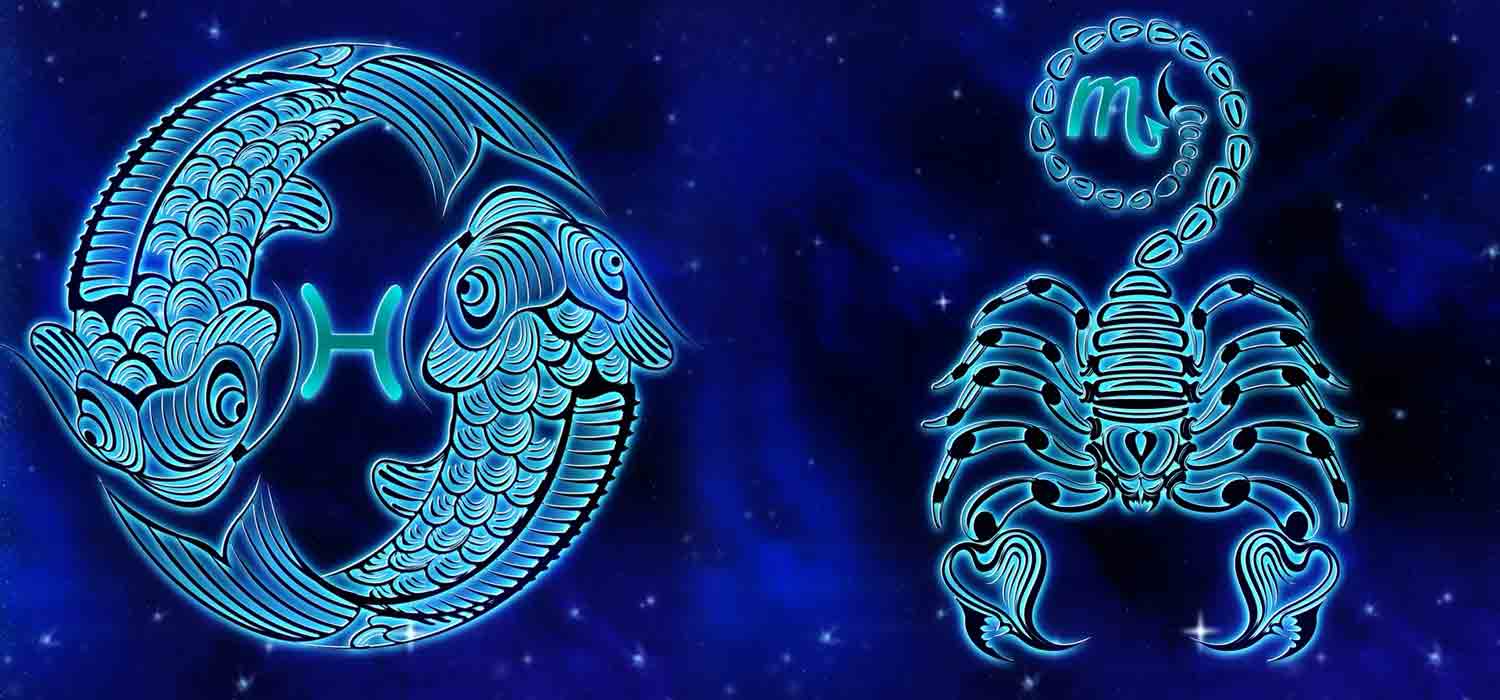 Kombination af stjernetegn: Fiskene og Skorpionen. Foto: Pixabay