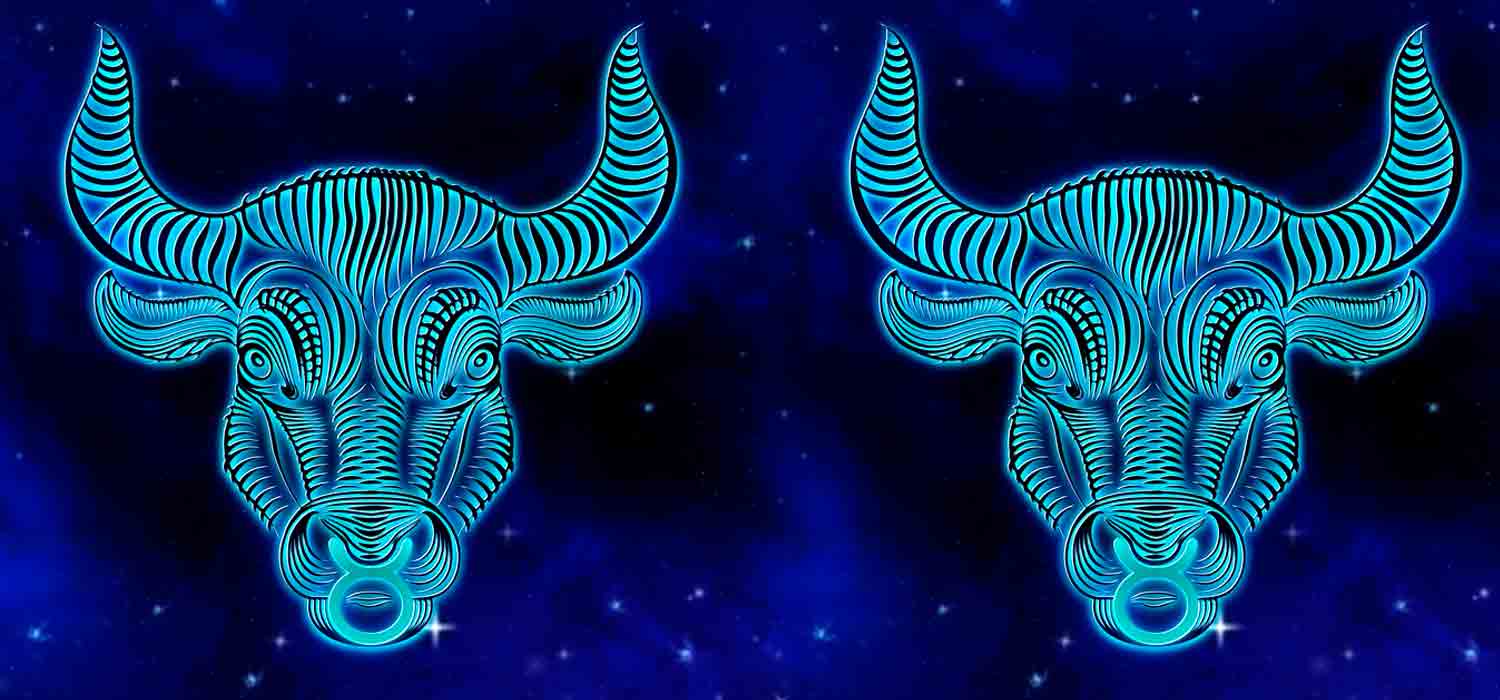 Horoskooppimerkkien yhdistelmä - Härkä ja Härkä. Kuva: Pixabay