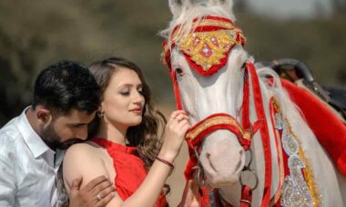4 signs that are waiting for a love riding on a white horse