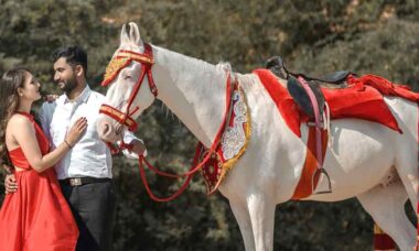 4 signs that are waiting for a love riding on a white horse. Photo: Pexels