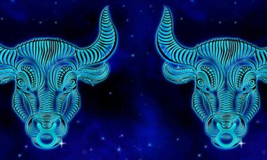 Horoskooppimerkkien yhdistelmä - Härkä ja Härkä. Kuva: Pixabay