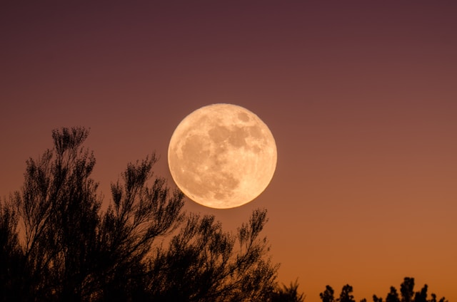 La Luna Piena Rosa o Luna Piena di Wesak si verificherà oggi 23 aprile