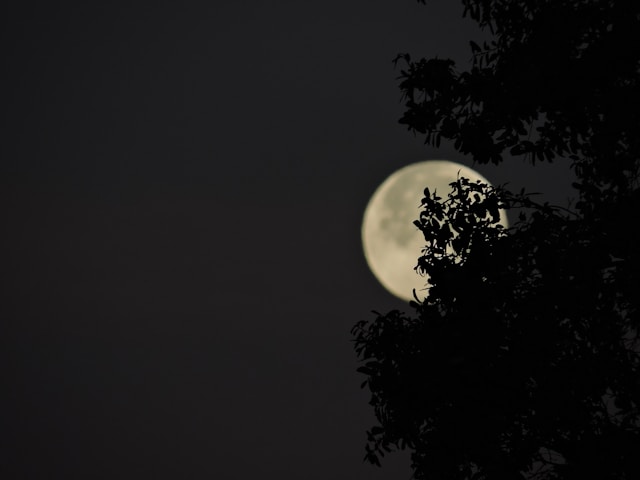 Eclipse Lunaire de la Super Lune en Poissons en septembre 2024