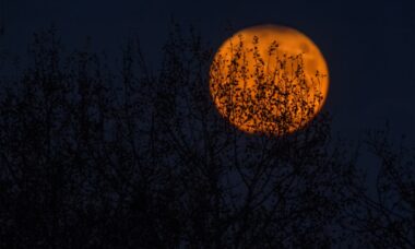 A astrologia do Halloween é assustadora e espiritual