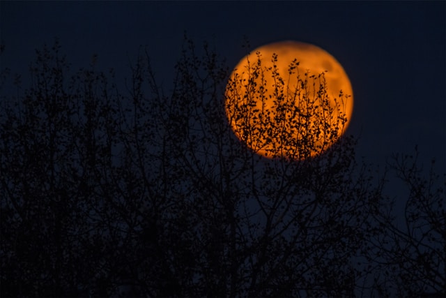 The Astrology of Halloween is Scary and Spiritual